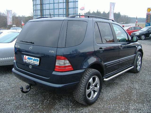 MB5.jpg